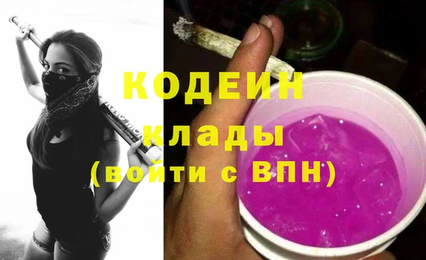 хмурый Липки