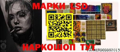 мяу мяу мука Моздок