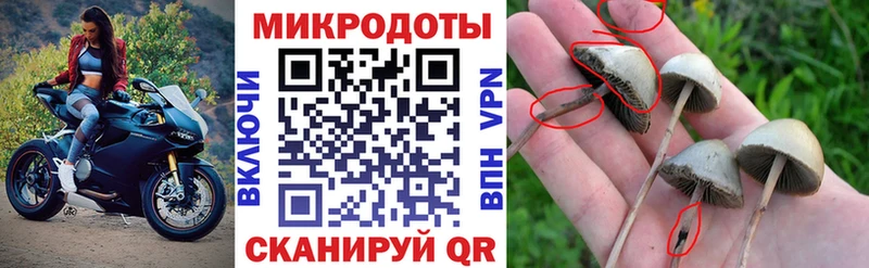 кракен маркетплейс  Азов  Псилоцибиновые грибы мухоморы 